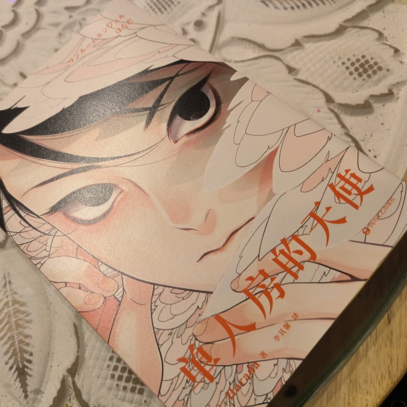 Japanese Lifestyle Books - Japoński komiks Angel Original z pojedynczymi